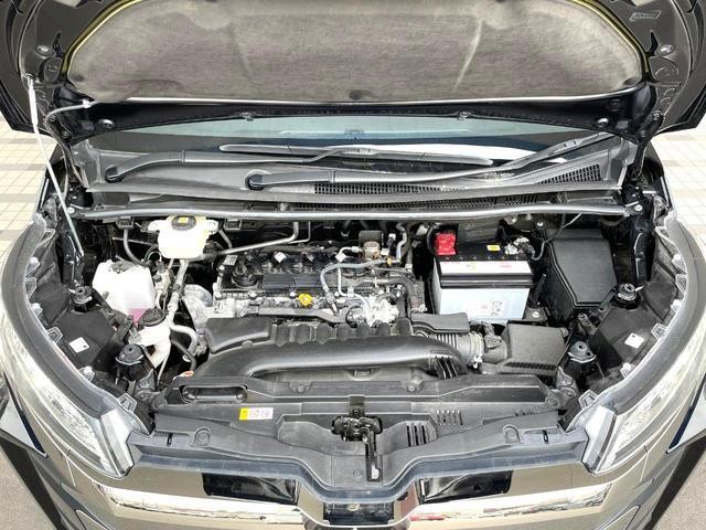 25942906_carP_l_20.jpg