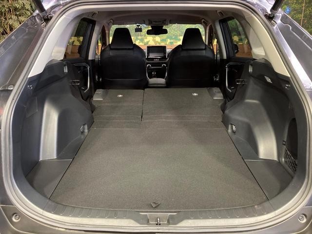 26022726_carP_l_2.jpg