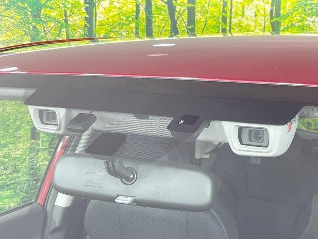 26002737_carP_l_13.jpg