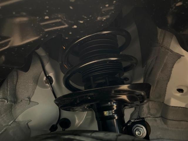 25591381_carP_l_20.jpg