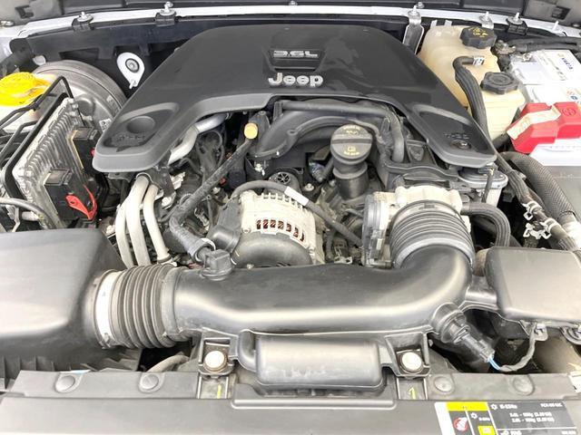 24541521_carP_l_20.jpg