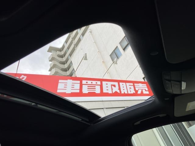 26579110_carP_l_19.jpg