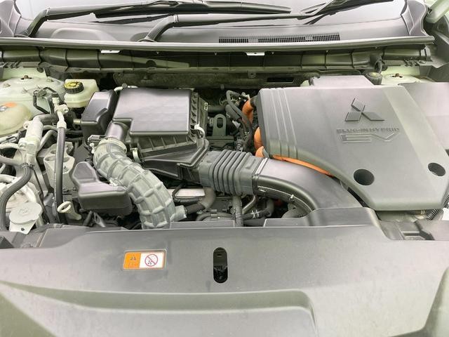 25714529_carP_l_18.jpg