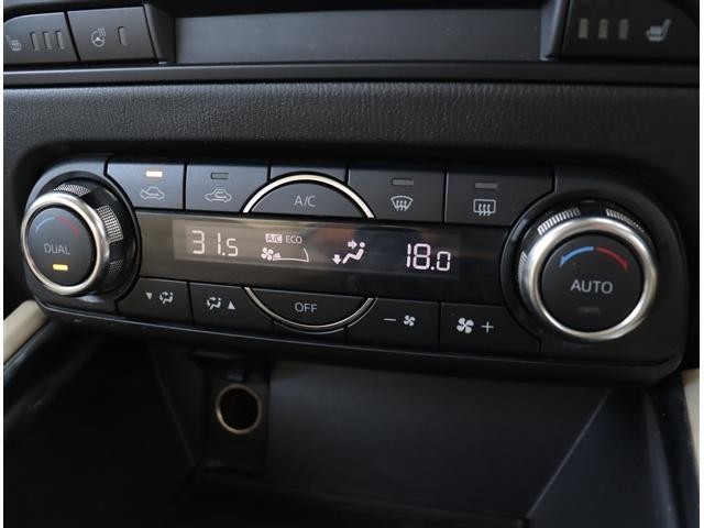 0503103A20260309G00216.jpg