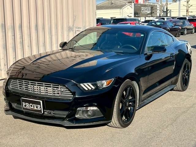 196e467dd47f6bf490b2d394d3d136cf.jpg