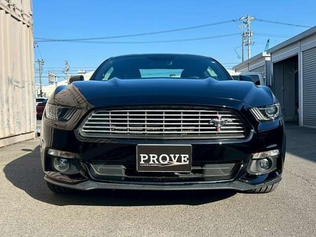 4994c772e092195309ca3027b64a254e.jpg