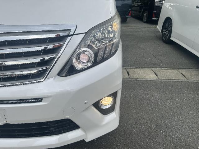 25574273_carP_l_18.jpg