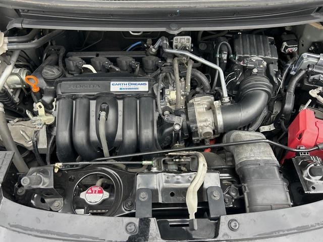 25904511_carP_l_18.jpg