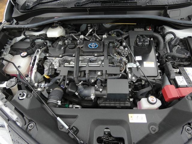 0710176A30261025W00115.jpg