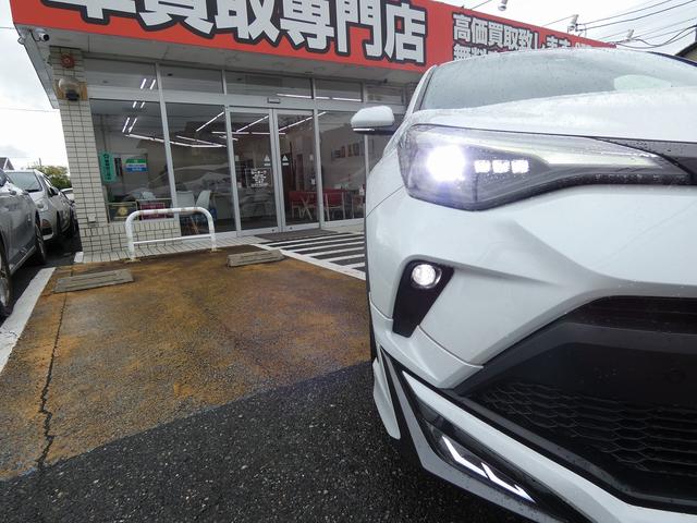 0710176A30261025W00101.jpg