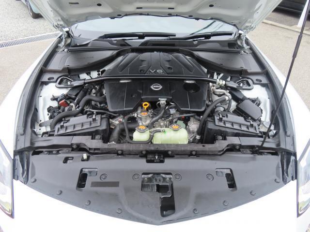 24991956_carP_l_11.jpg
