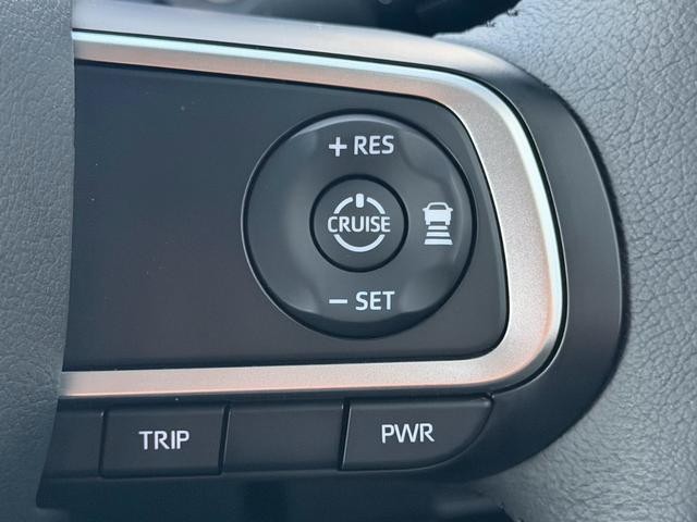 0300810A30260828W00206.jpg