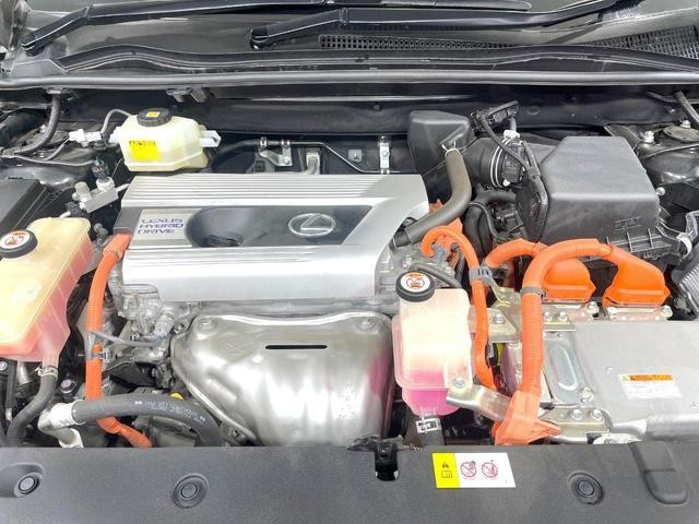 26002749_carP_l_16.jpg