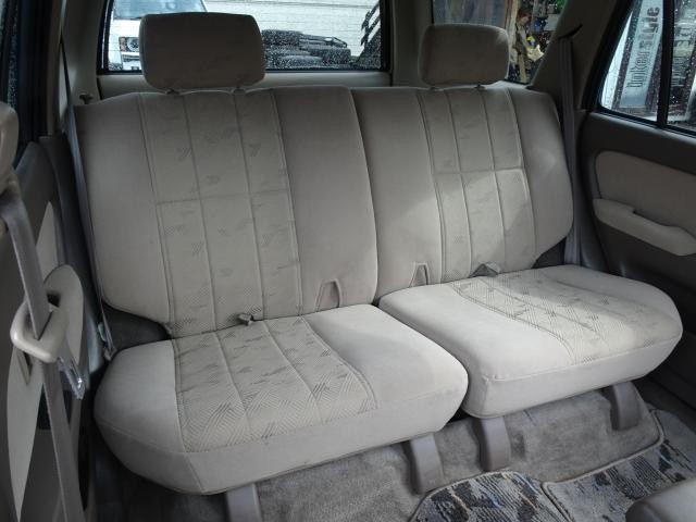26038078_carP_l_8.jpg