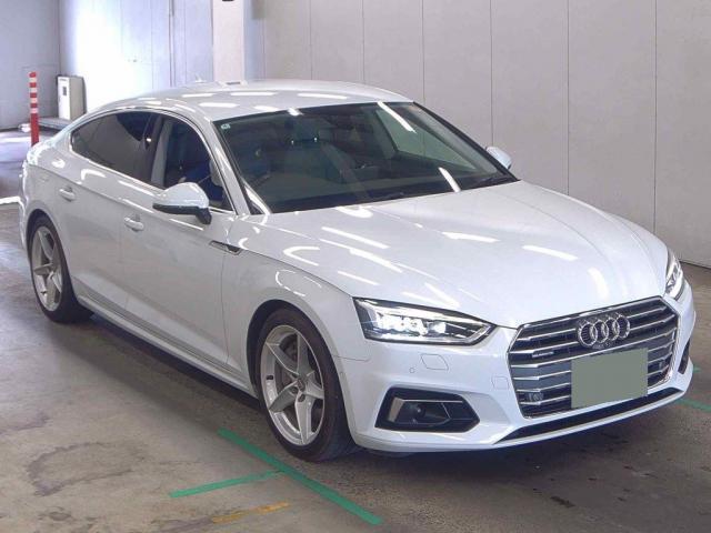 24892362_carP_l_10.jpg