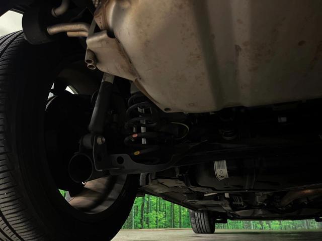 24008069_carP_l_20.jpg