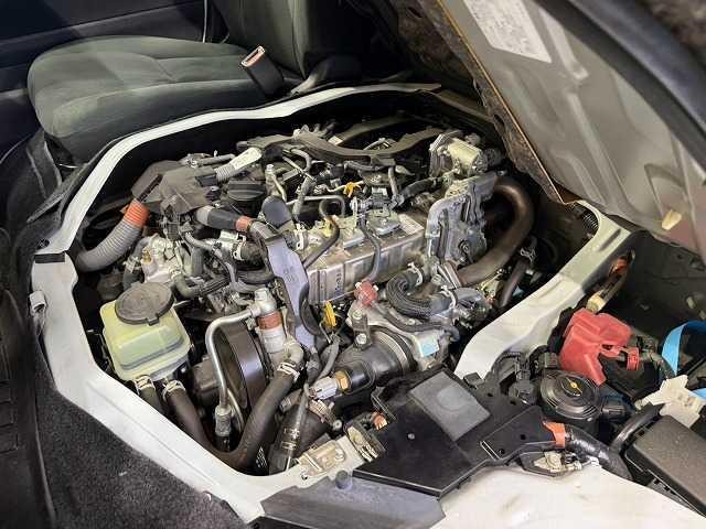 0204915A20260920D00613.jpg