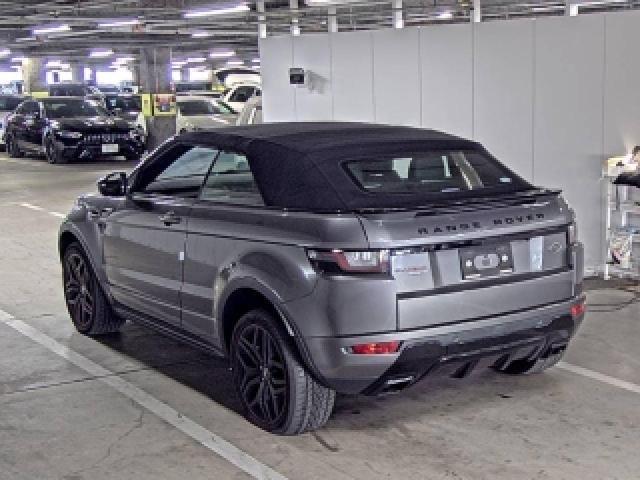 24304953_carP_l_10.jpg
