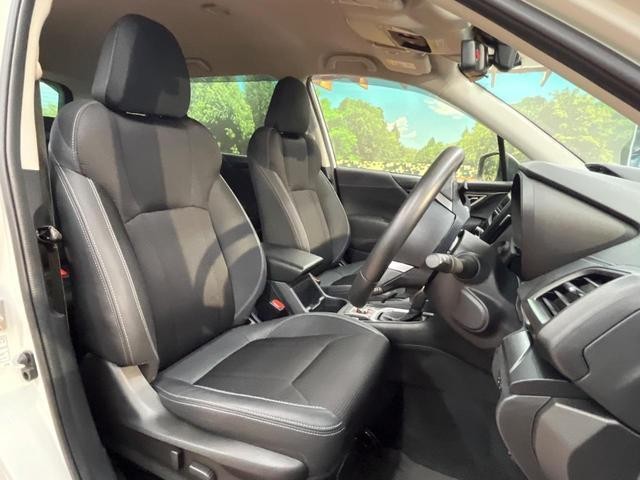 26022752_carP_l_19.jpg