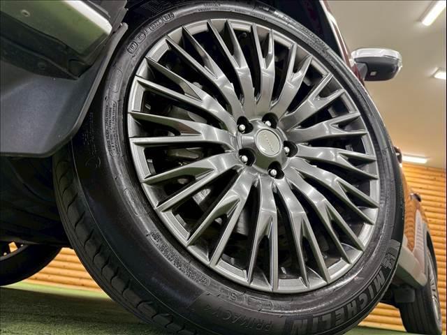 24064926_carP_l_5.jpg