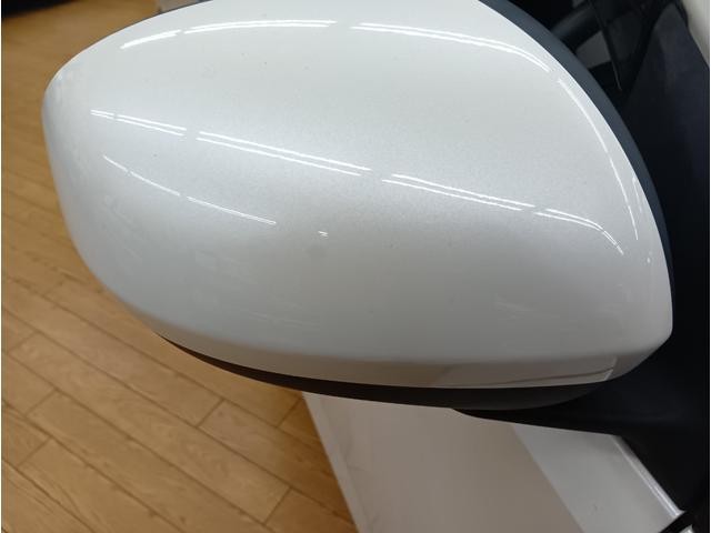 0300842A30260822W00318.jpg
