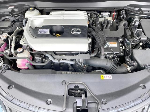 26002761_carP_l_16.jpg
