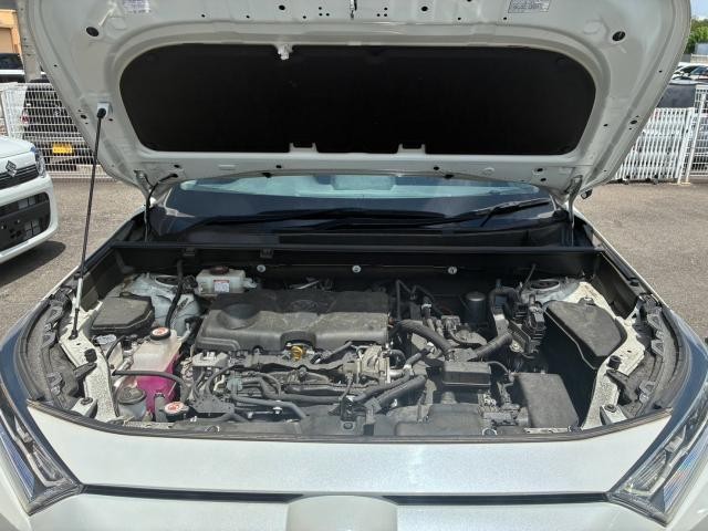 25426354_carP_l_20.jpg