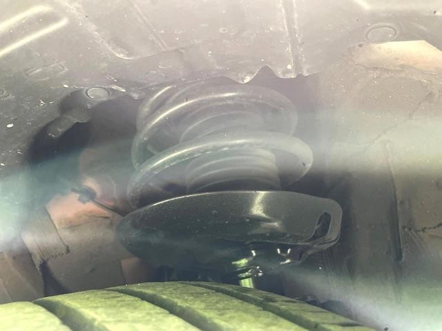 26002767_carP_l_20.jpg