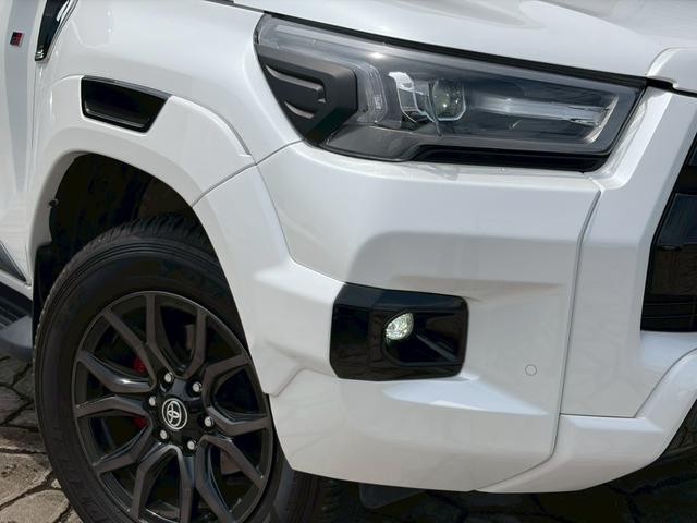 25923216_carP_l_8.jpg