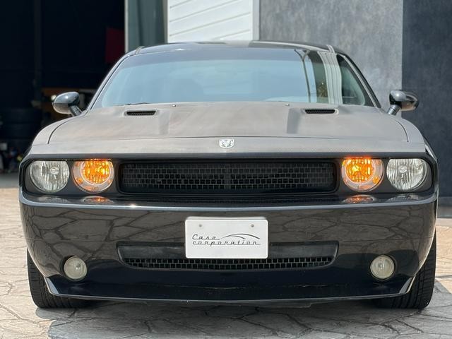 25923218_carP_l_11.jpg