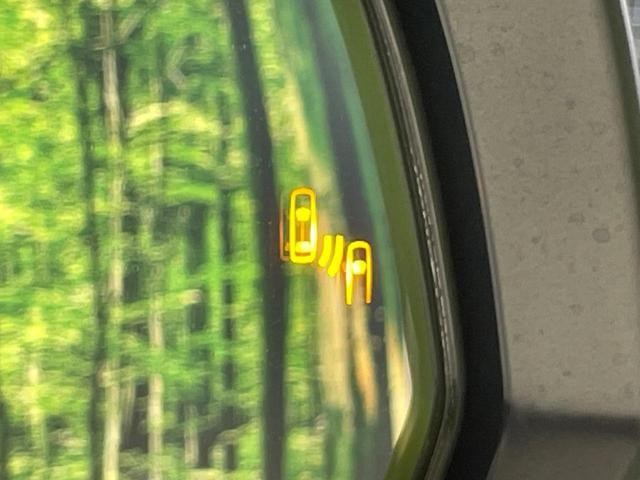 26002797_carP_l_13.jpg