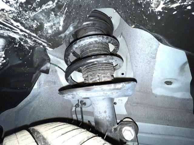 26533888_carP_l_20.jpg