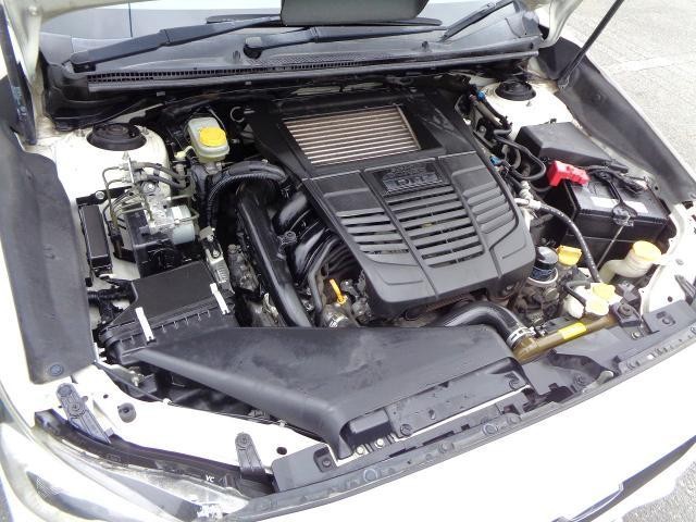 25596640_carP_l_17.jpg