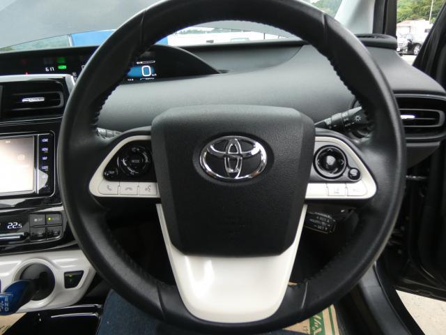25029903_carP_l_10.jpg