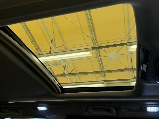 0204915A20260925D00504.jpg