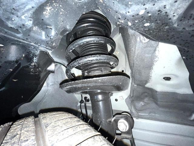 26533889_carP_l_20.jpg