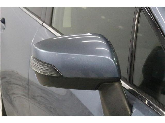 26203847_carP_l_6.jpg