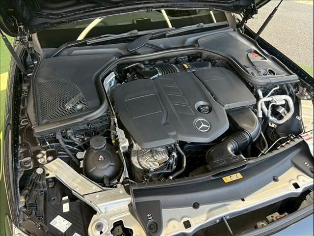 24988664_carP_l_8.jpg