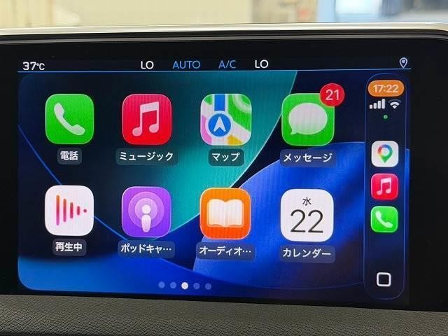 25378642_carP_l_15.jpg