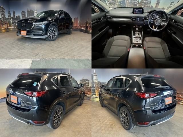 26887245_carP_l_15.jpg