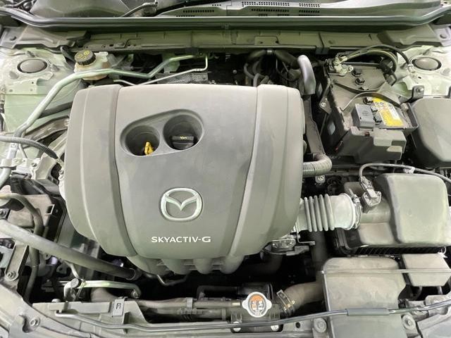 26002862_carP_l_16.jpg