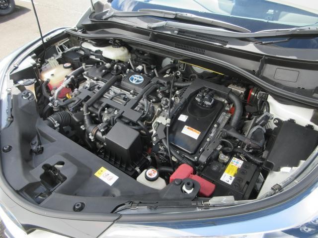 20231786_carP_l_20.jpg
