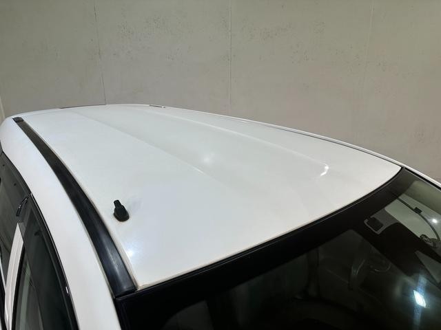 25010066_carP_l_20.jpg