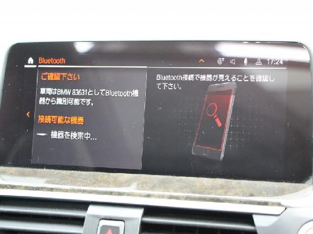 25968176_carP_l_17.jpg