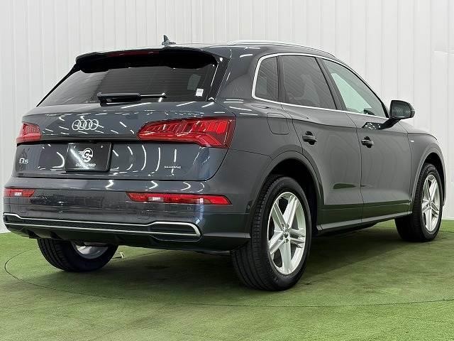 25378644_carP_l_11.jpg