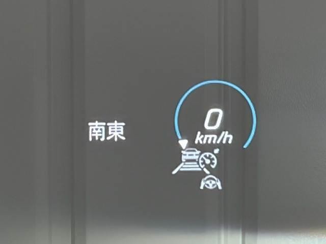25378645_carP_l_13.jpg