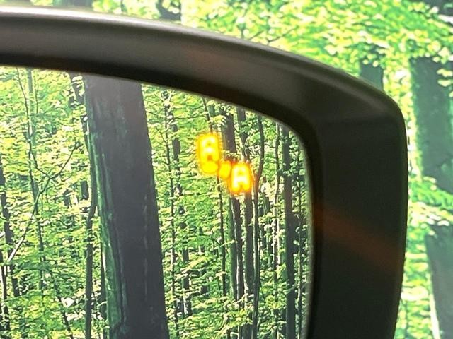 25283799_carP_l_13.jpg
