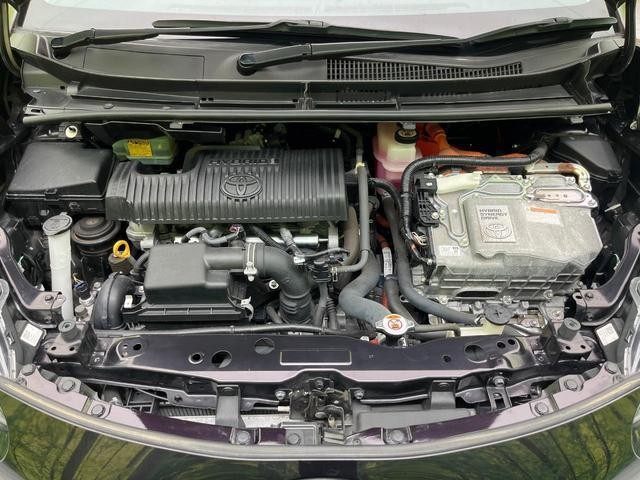 25591620_carP_l_18.jpg