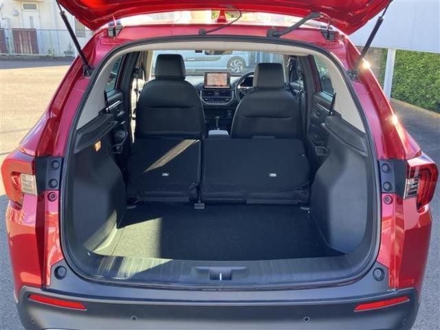 25866418_carP_l_17.jpg