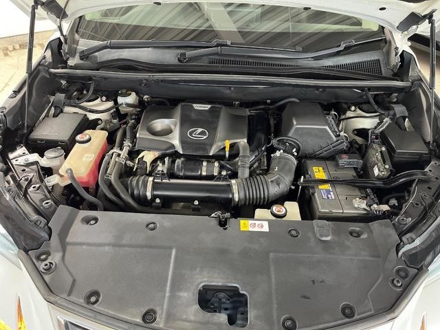 26511875_carP_l_11.jpg